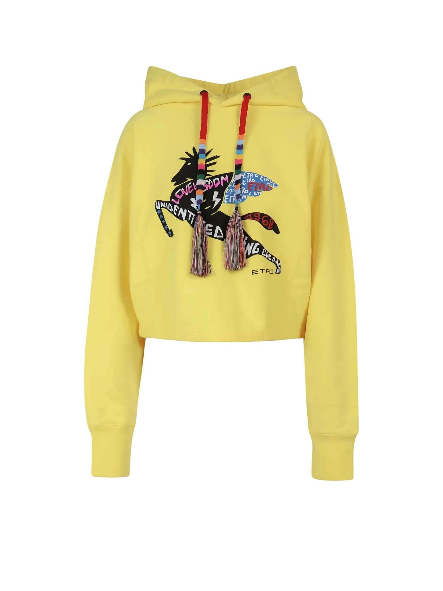 Etro Logo Detailed Drawstring Hoodie